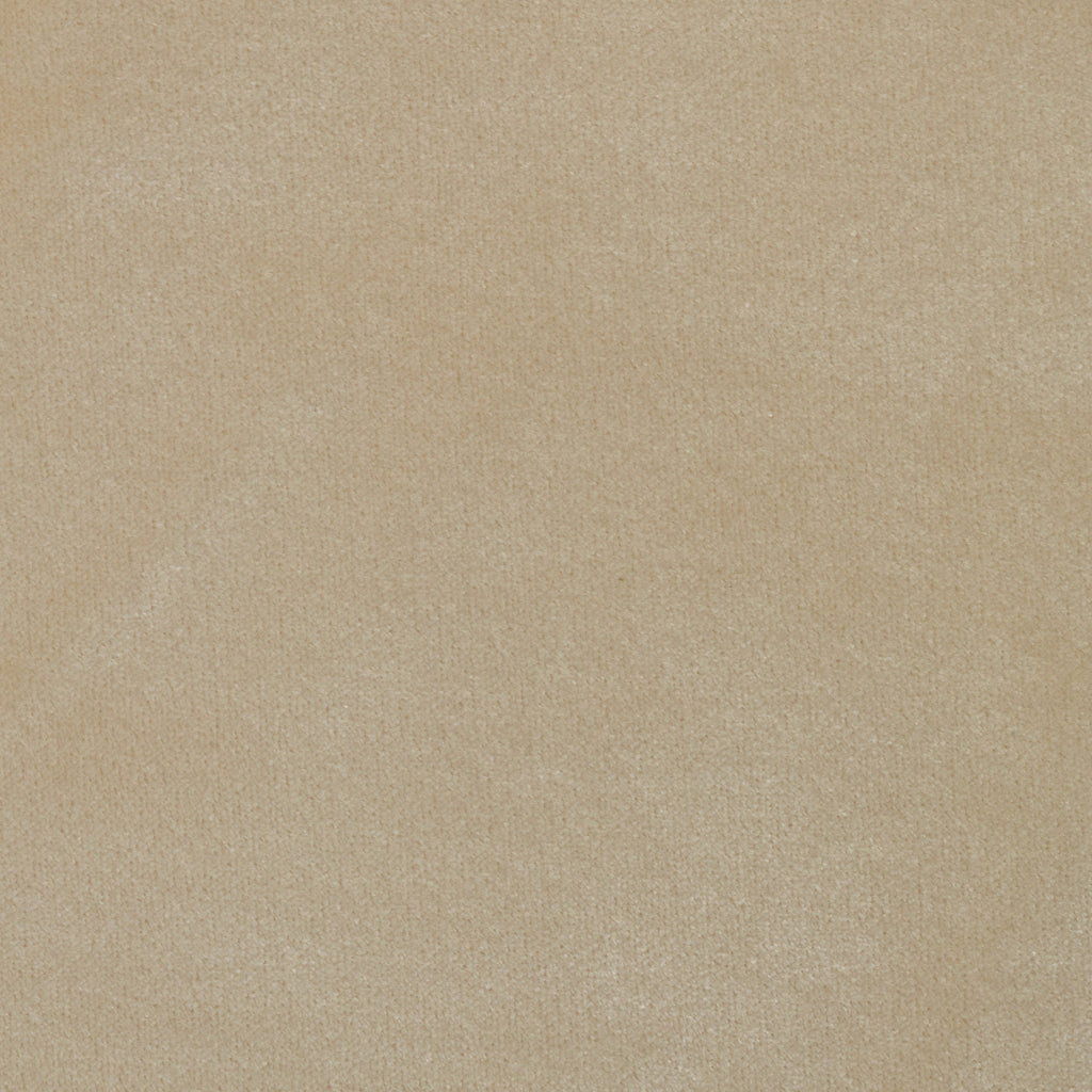 Ankara_Birch_Solid_Cut_Velvet_Upholstery_Fabric_TopFabric.jpg
