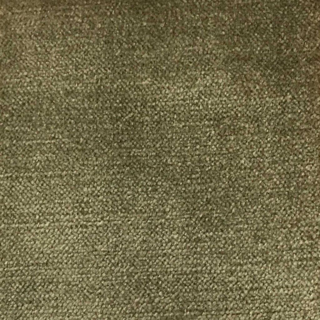 Queen - Lustrous Metallic Solid Cotton Rayon Blend Upholstery Velvet Fabric by the Yard - Available in 83 Colors - Wheat - Top Fabric - 8